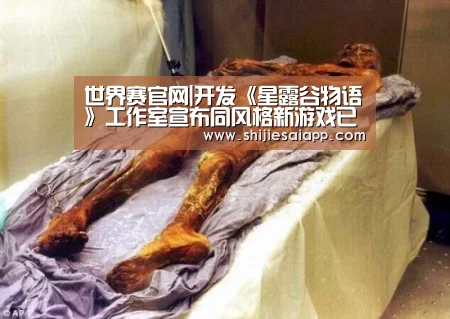 世界赛官网|开发《星露谷物语》工作室宣布同风格新游戏已开始制作(图4) 全球总决赛官网