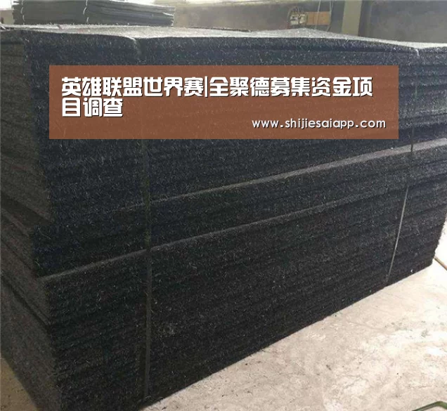 英雄联盟世界赛|全聚德募集资金项目调查(图1) 全球总决赛官网