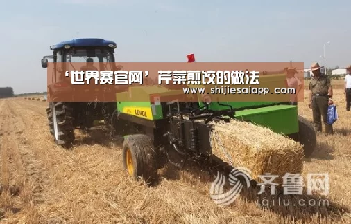 ‘世界赛官网’芹菜煎饺的做法(图1) 英雄联盟世界赛