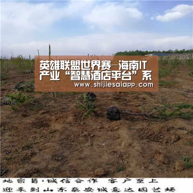 英雄联盟世界赛-海南IT产业“智慧酒店平台”系统获奖IT产业智慧平台(图3) 世界赛官网